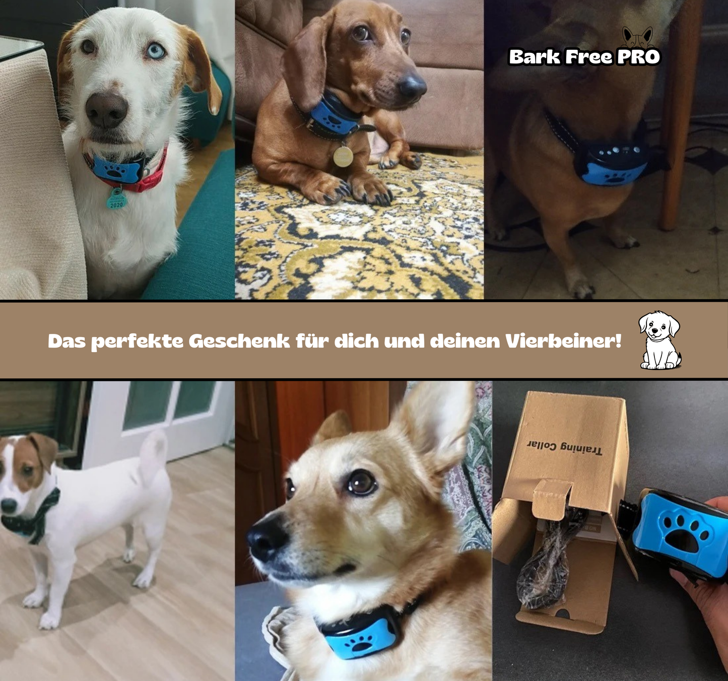 Bark Free PRO - Hundehalsband